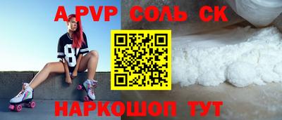 бошки Кингисепп