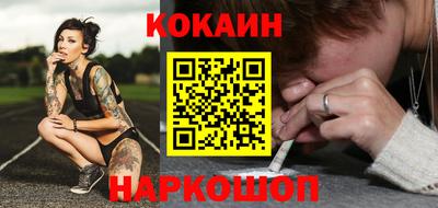 бошки Кингисепп