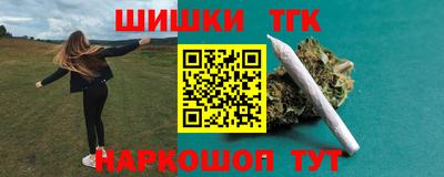 бошки Кингисепп