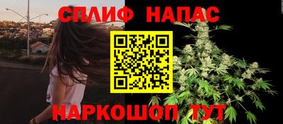 бошки Кингисепп