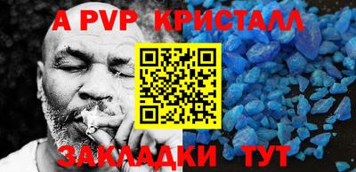 бошки Кингисепп