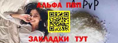 бошки Кингисепп