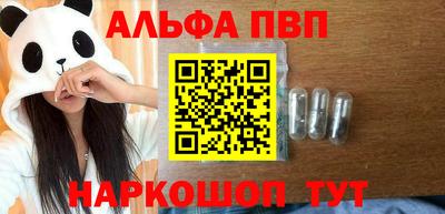 бошки Кингисепп