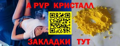 бошки Кингисепп