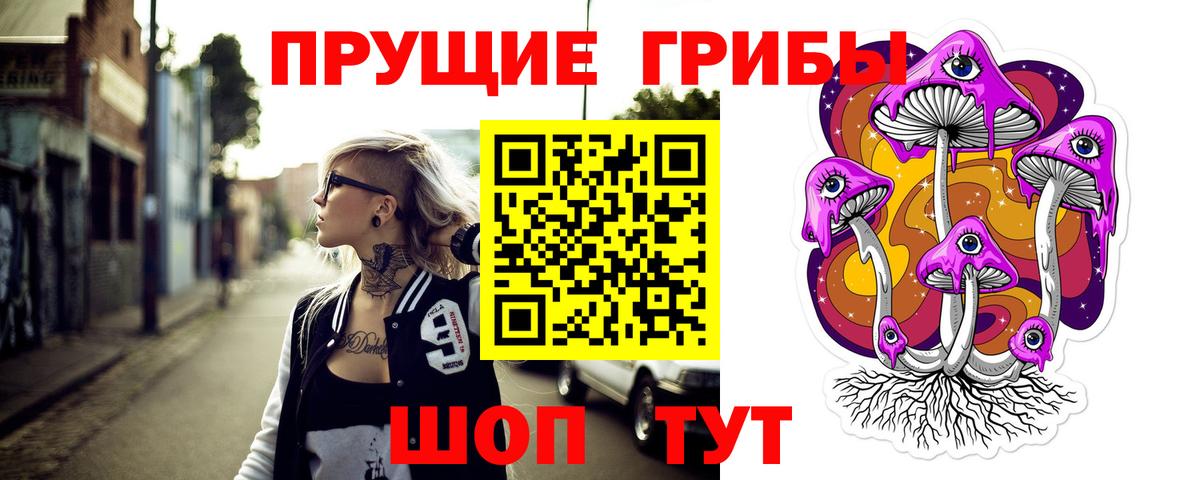 Кохма  Галлюциногенные грибы GOLDEN TEACHER  Вход с VPN 